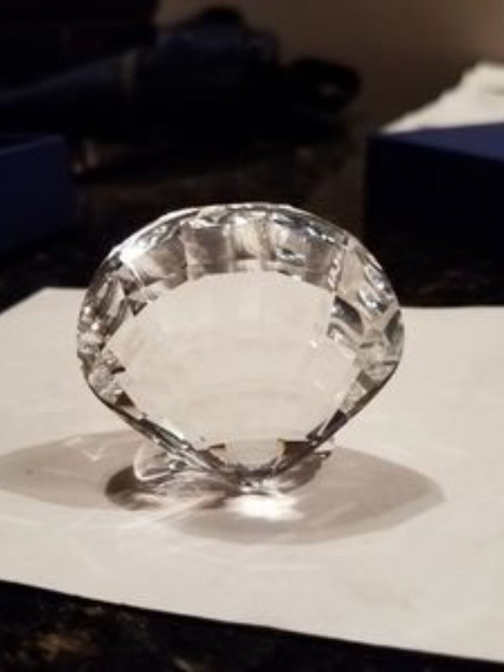 Swarovski Shell Collection (3) - Picture 8 of 8